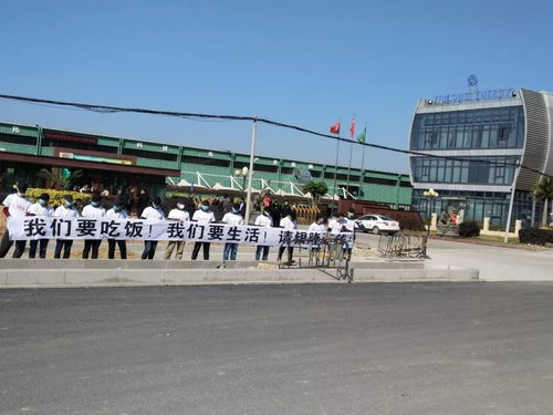 裸奔 造車(chē) 董小姐的珠海銀隆欠款12億