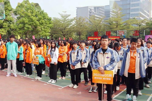 超贊超精彩 珠海一職實驗學(xué)校趣味運動會,young出青春活力